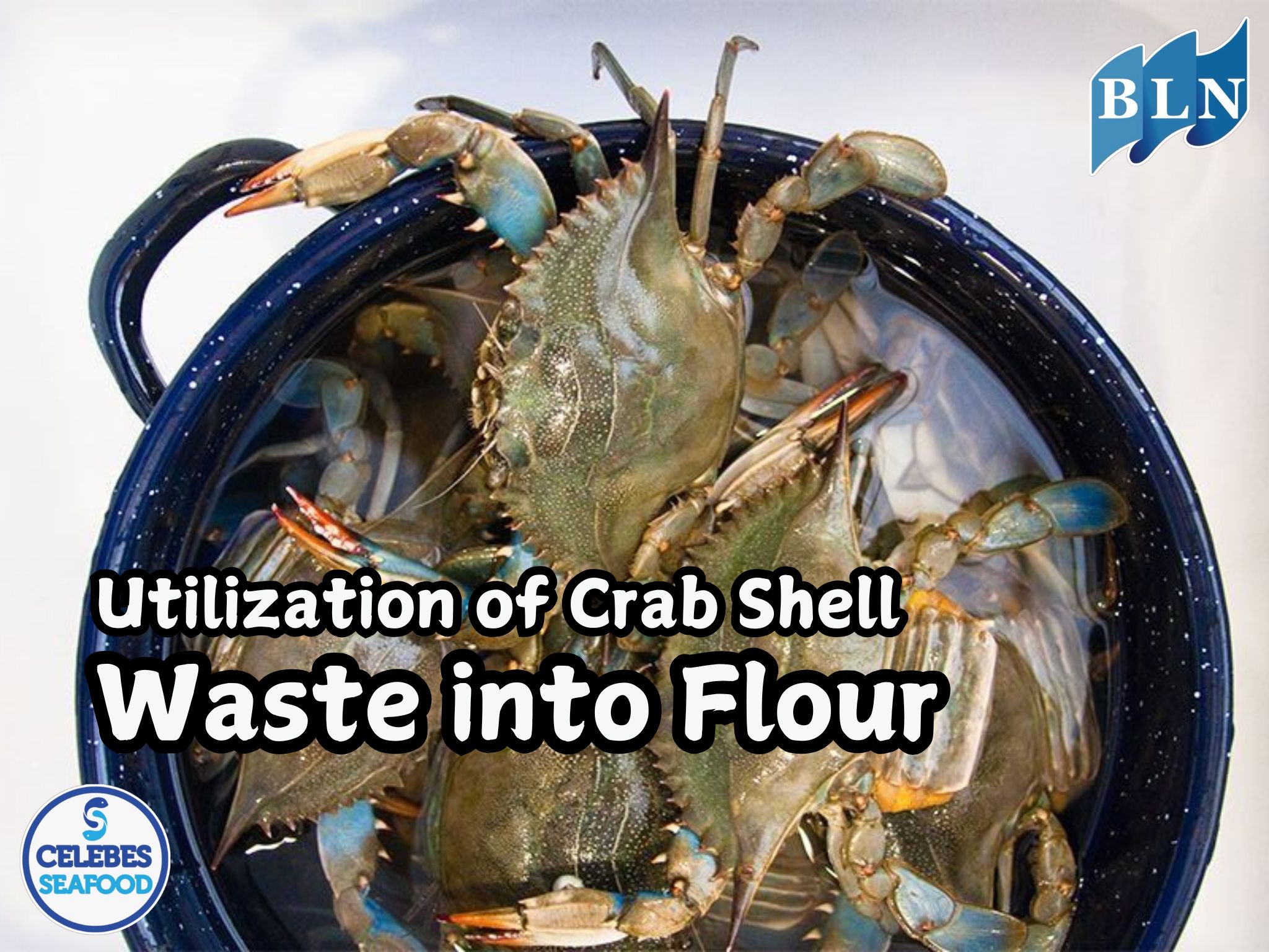 Wasted Shell Waste: Utilization of Crab Shell Waste into Flour